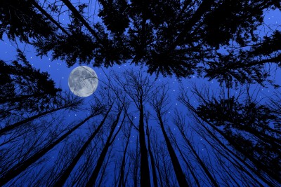 Night sky