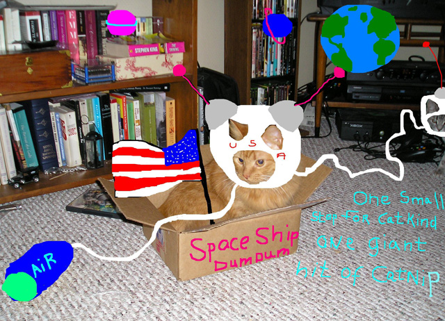 astro_cat
