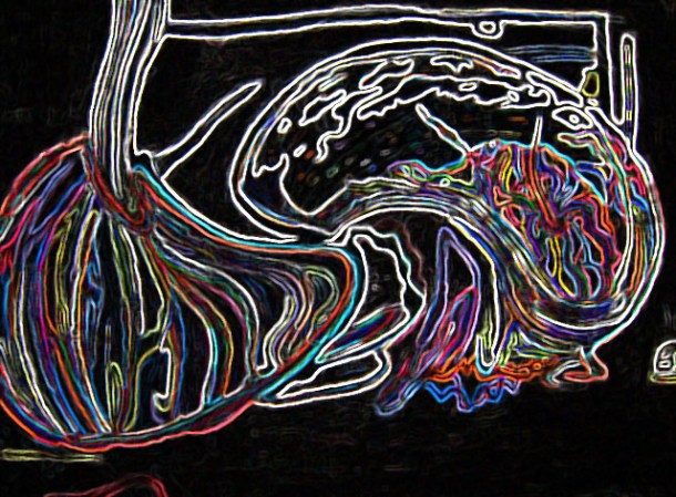 victoria sawyer crazy art