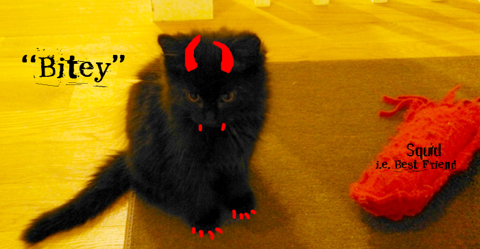 I took the liberty of pointing out the bitey parts of Bitey in red as well as the addition of horns that are there in real life...you just can't see them.  Also take note of the squid that I made that has already been repaired several times.