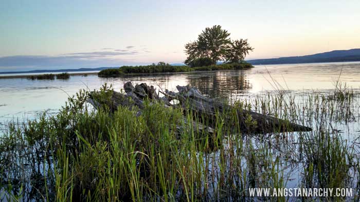 Lake view of island and reeds
