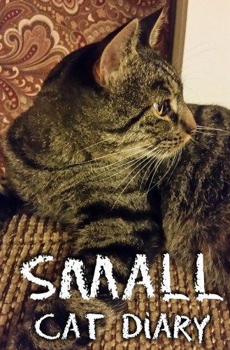 Small Cat Diary with cat photo