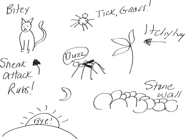 Our foes, ticks, mosquitoes, stone walls, cats, the sun, poison ivy