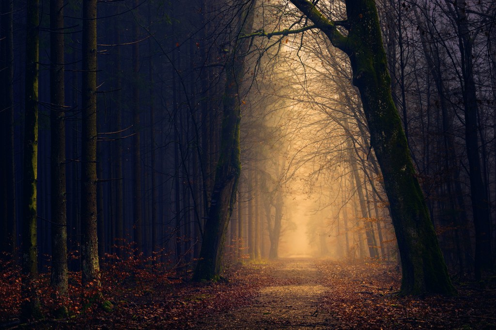 As the Earth Tilts…on its Evil Axis